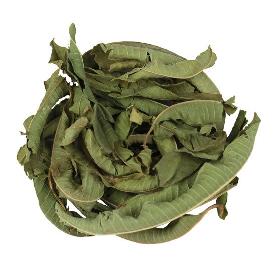 IJzerkruid Heel Welriekend (Verveine)